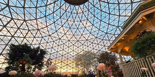 SUMMER FLOWER FEST: A FAMILY FUN FEST!