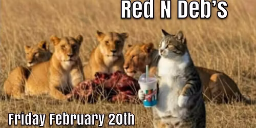 Tigers rock Red N Deb\u2019s