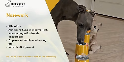 Nosework (ledige plasser)