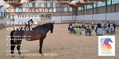 Constellations Familiales Humains & Chevaux - 1 journ\u00e9e 