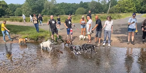 Sutton Park, Streetly Gate, Jamboree Stone - Midlands Bullie Walks