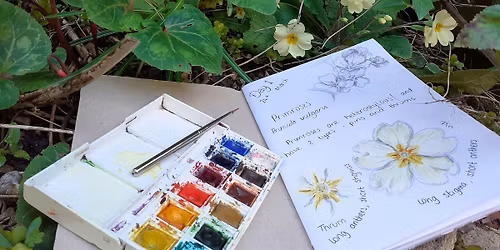 Belfairs Nature Scrapbooking for Families: Spring Edition