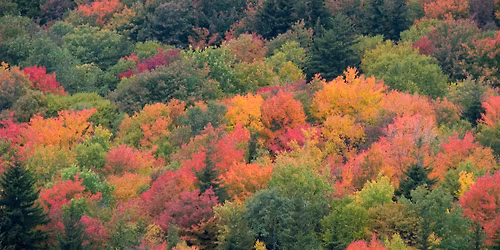 Fall Tree-mendous Hike