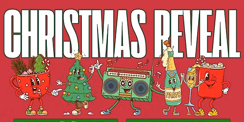 Christmas Reveal