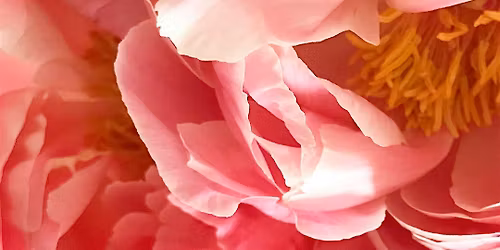 Deep Rest & Renewal: Restorative Yoga Nidra with Linda Herrmann