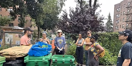 Street Tree Care w\/300 E 25th Street Block Association