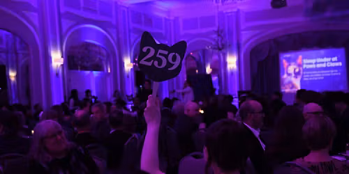 The Catalyst Ball