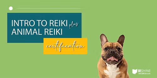 Intro to Reiki + Animal Reiki Combo training
