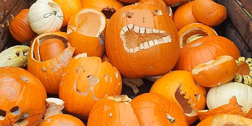 The Big Kings Heath Pumpkin  Smash (session 2)