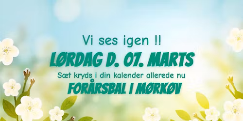 For\u00e5rsbal i M\u00f8rk\u00f8v