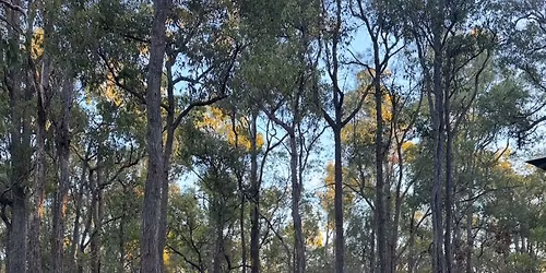 Degustation Under the Stars - April