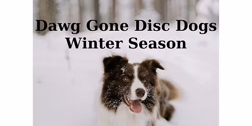 Dawg Gone Disc Dogs Winter Season