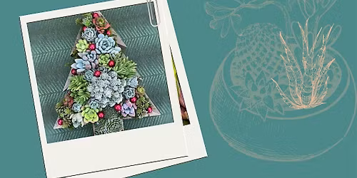 Succulent Christmas Trees