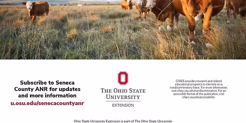 Beef Quality Assurance Certification and Recertification