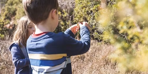 Wildlings - Kids Activities
