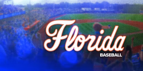 Florida Gators Baseball vs. High Point University Panthers Baseball
