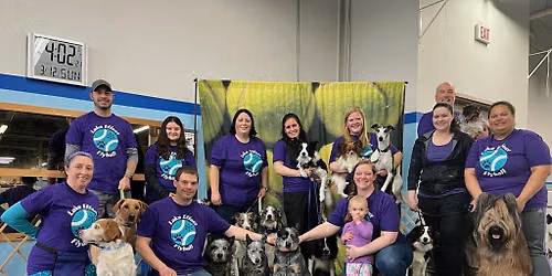 Lake Effect Flyball 1st Annual Summer-ween Tournament