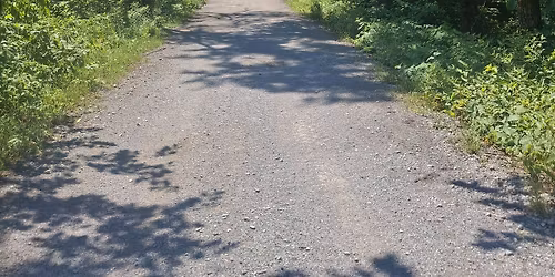 Group run (minimum 5km). All levels