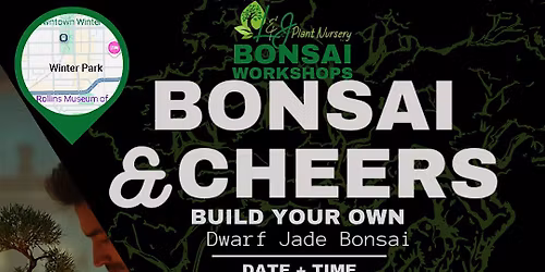 Bonsai & Cheers -Forward\/Slash - L&J Nursery - Dwarf Jade
