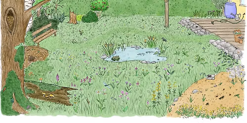 Kursus - bliv en af Gentoftes Vilde Haveambassad\u00f8rer