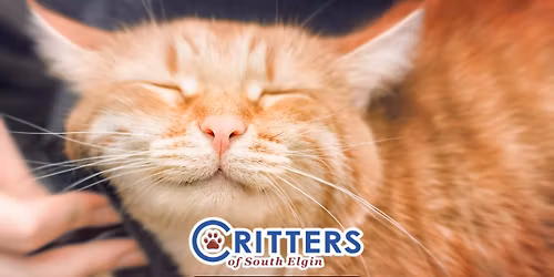 May Finale: Furever Home Adoption Day
