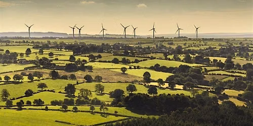Business sustainability question time