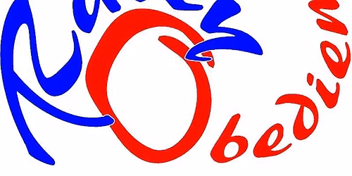 Rally Obi Turnier VfH Ilvesheim PLZ 68549