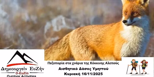 \u03a0\u03b5\u03b6\u03bf\u03c0\u03bf\u03c1\u03af\u03b1 \u03c3\u03c4\u03b1 \u03c7\u03bd\u03ac\u03c1\u03b9\u03b1 \u03c4\u03b7\u03c2 \u039a\u03cc\u03ba\u03ba\u03b9\u03bd\u03b7\u03c2 \u0391\u03bb\u03b5\u03c0\u03bf\u03cd\u03c2 + \u03bc\u03ac\u03b8\u03b7\u03bc\u03b1 \u03a4\u0391\u0399-CHI \u03c3\u03c4\u03bf \u0391\u03b9\u03c3\u03b8\u03b7\u03c4\u03b9\u03ba\u03cc \u0394\u03ac\u03c3\u03bf\u03c2 \u03a5\u03bc\u03b7\u03c4\u03c4\u03bf\u03cd