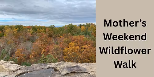 Mother\u2019s Weekend Wildflower Walk