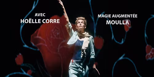 PESTACLES! LE PETIT PRINCE