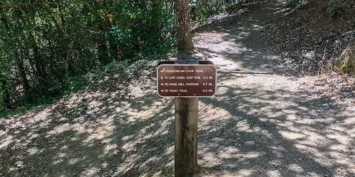 A Hike on Shaky Ground