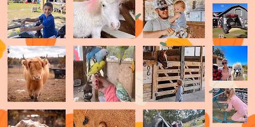 Fall On The Farm - \ud83d\udc10\ud83e\udd9a\ud83c\udf41\ud83d\udc34