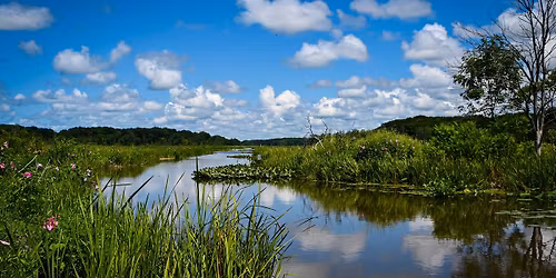 City Nature Challenge Bioblitz!