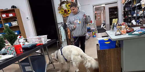 \ud83d\udc3e\u2728 Search Sessions! \u2728\ud83d\udc3e