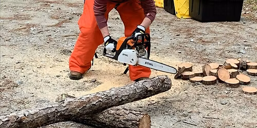 Chainsaw Safety and Handling Workshop