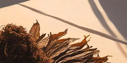 Silvester Shamanic Ceremony