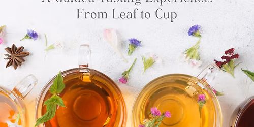 Art of Tea: Taste and Learn \ud83d\udcda \ud83e\uded6 