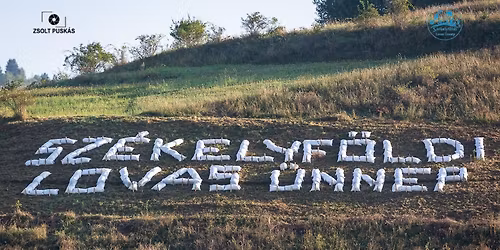 XIX. Sz\u00e9kelyf\u00f6ldi Lovas \u00dcnnep\u00ae, 2026. augusztus 20-23.