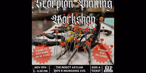 Scorpion Pinning Workshop with RIP Repurposed