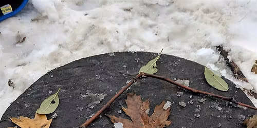 Nature Connection \/\/ Connexion Nature