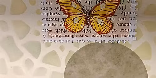 Journaling Workshop Club  May Bugs