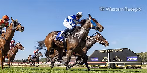ALCOA GRANDSTAND CUP AND  XMAS FAMILY RACEDAY