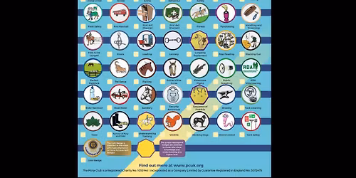 Pony Club badge session