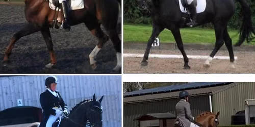 Verity Franks Flat work \/ pole clinic