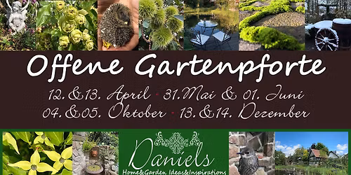 Daniels offene Gartenpforte - Winter