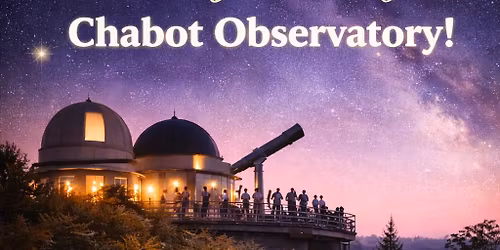 East Bay Evenings: Dinner with the Stars