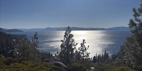 Return to Nature and Awaken Your Intuition