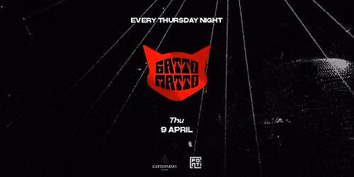 GATTOMATTO X Gattopardo