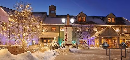 Holiday Lights at MN Landscape Arboretum