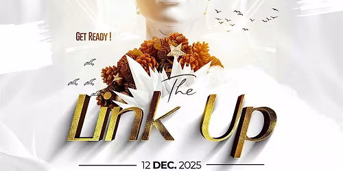 THE LINK UP